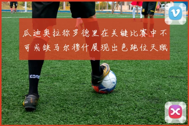 瓜迪奥拉称罗德里在关键比赛中不可或缺马尔穆什展现出色跑位天赋